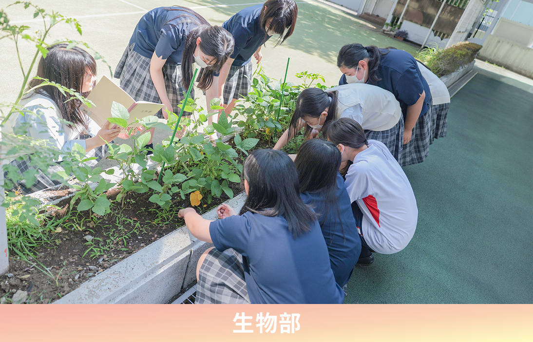 生物部